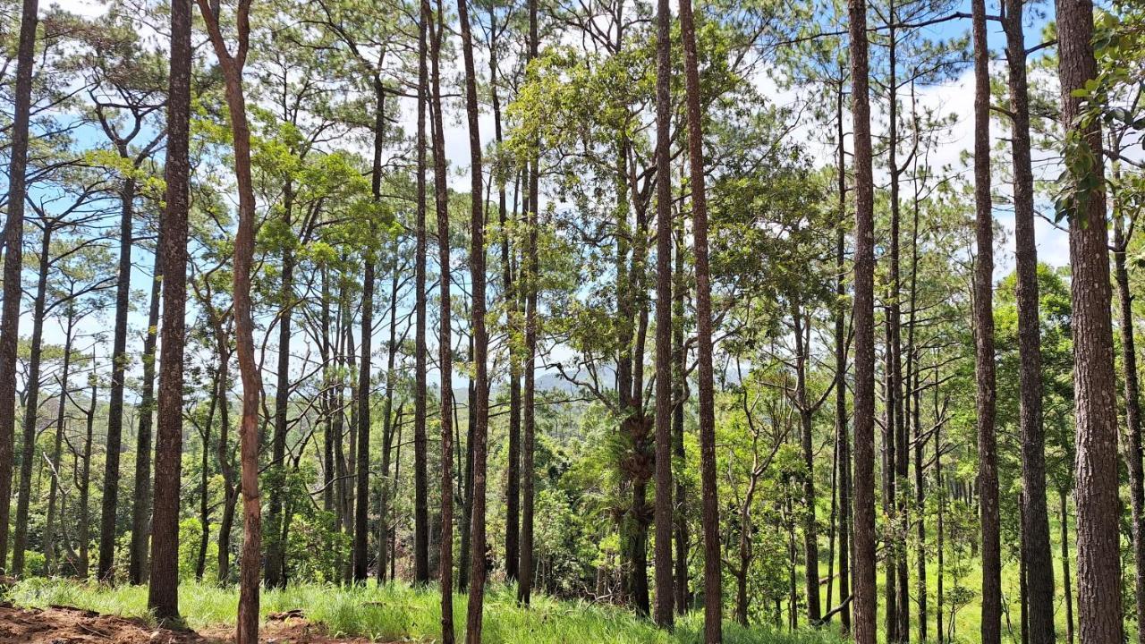 Romdoul Kirirom Resort By Ehm Kampong Speu Eksteriør bilde